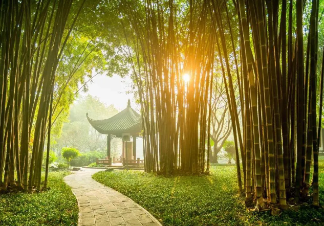 早起三不要，飯后三不急，睡前三不宜