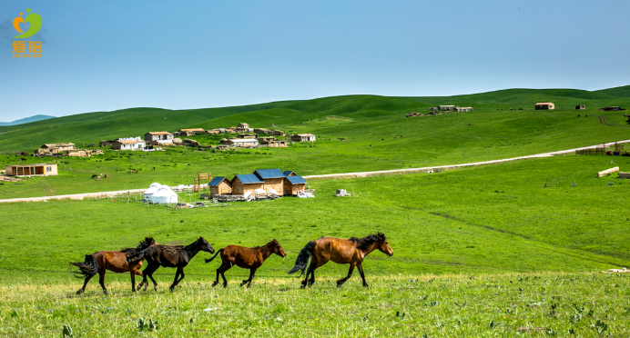 愛在江湖，陪在親情——愛陪供入湘贛地區(qū)提供便民服務(wù)回顧
